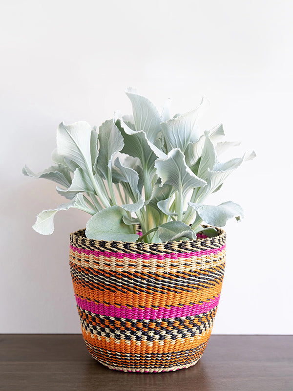 Bolga Planter Baskets