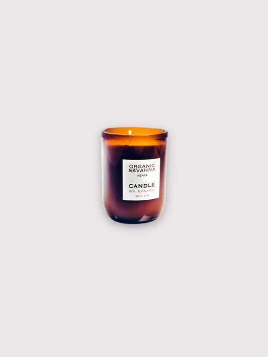 Soy and Eucalyptus Candle (200g)