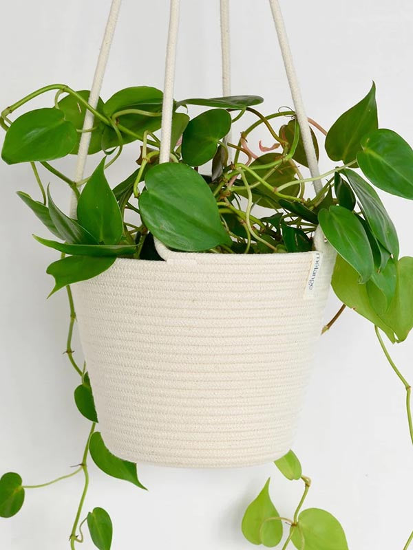 Cream Hanging Planter Basket