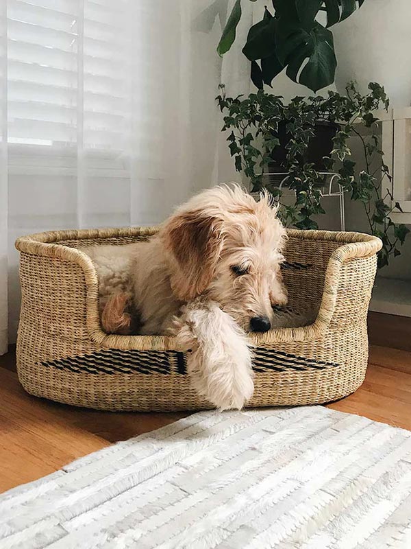 Medium Woven Dog Bed