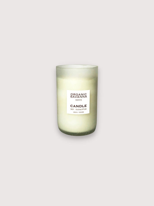 Soy and Eucalyptus Candle (300g)